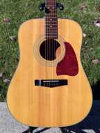 5_ibanez_acoustic_guitar.jpg