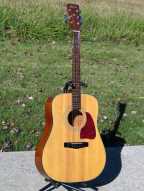 2_ibanez_acoustic_guitar.jpg