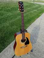 ibanez_pf6.jpg