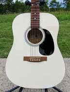 1_indiana_scout_deluxe_guitar.jpg