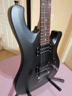 schecter_006_deluxe.jpg