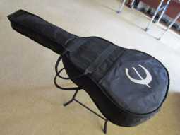 9_epiphone_aj_100.jpg