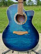 1_jay_turser_acoustic_electric_guitar.jpg