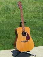 1_fender_f210.jpg
