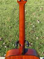 10_ibanez_acoustic_guitar.jpg