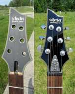 2_schecter_damien_platinum_6.jpg
