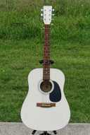 2_indiana_scout_acoustic_guitar.jpg
