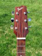 6_fender_f210.jpg